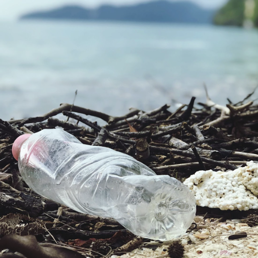 How Does Plastic Pollution Impact the Environment