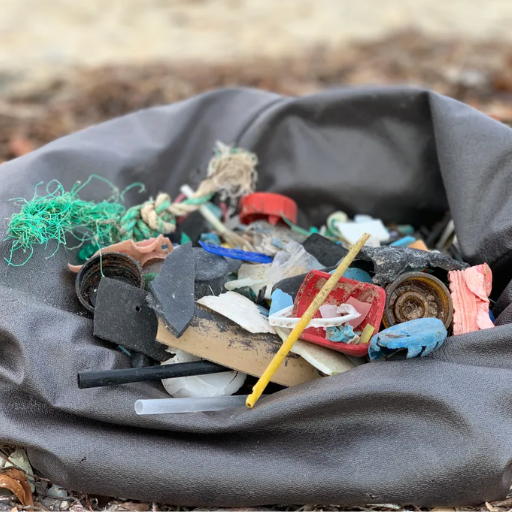 Are There Toxic Chemicals in Plastic That Are Harming Human Health