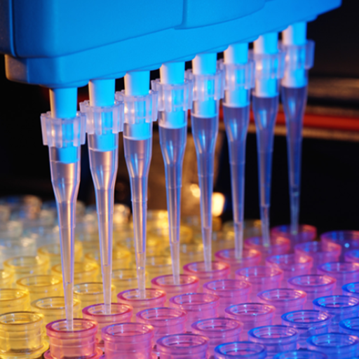 What are the Societal Benefits of Plastics