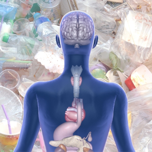 How Do Microplastics Impact Human Health