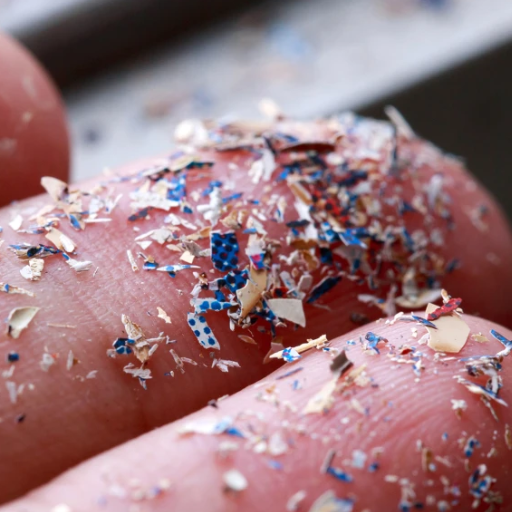What Chemicals in Plastic Are Harmful to Human Health