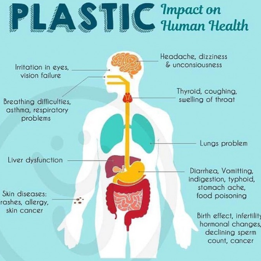 What Are the Health Risks of Plastic Exposure